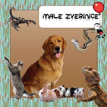 Pisani balon 2023 že to soboto 9